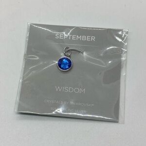 Origami Owl 925 Sterling & Dark Blue Swarovski Crystal Pendant Charm | 14mm